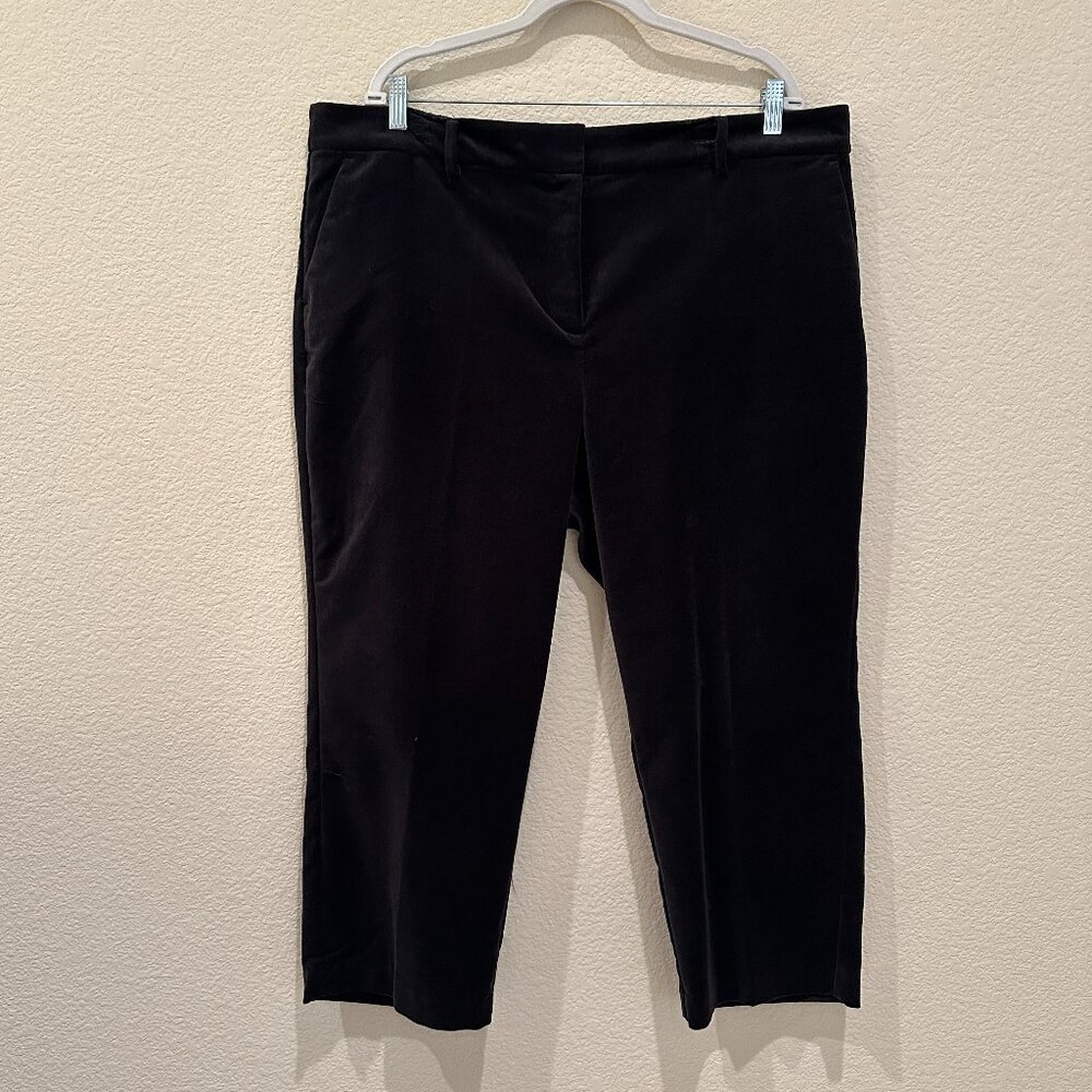 LOFT Black Velvet - The Riviera Slim - CURVY - Pants